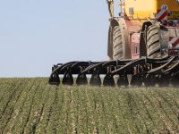 Overschrijding fosfaatplafond dreigt, ook voor varkenssector