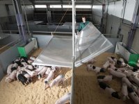 Wroetstal verlaagt uitstoot ammoniak met 80 procent