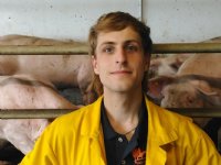 'Sector op glad ijs'