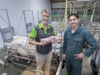 TN70 en Westfort York vormen ijzersterke combinatie