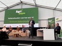 Varkens entertainen hoort bij moderne sector