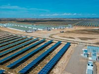 Doemscenario dreigt in Spanje door Afrikaanse varkenspest