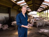 ‘Vleesvarkensbedrijven en geldtekort’