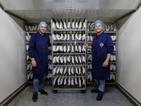 Broers geven slachtzeug waarde met premium droge worst