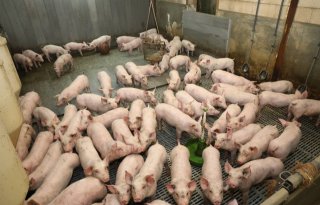 Inzet 1 Arend Bouwmeester