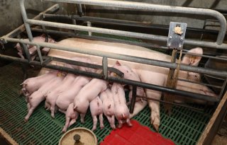 Inzet 2 Arend Bouwmeester