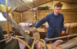 De zeugen krijgen vanaf opleg tot 2 dagen na werpen prelactovoer. Dat voert Mark met de hand.