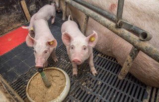 Anton Uitslag Wezep-028