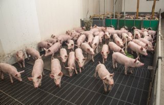 Anton Uitslag Wezep-040