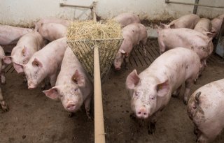 Anton Uitslag Wezep-103