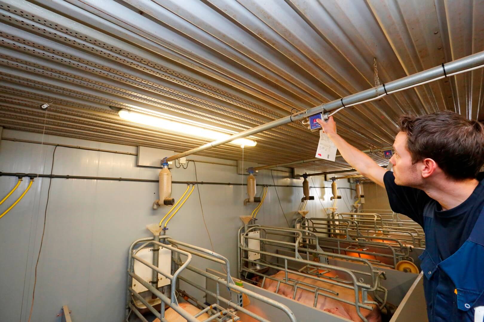 Mark kan de dosatoren vanuit het voerpad per kraamhok instellen. Het aantal voerbeurten, de snelheid van voeren en de voerhoeveelheid is eenvoudig op een regelkast in te stellen. Veranderen in soortelijk gewicht van het voer worden centraal in de computer ingevoerd.