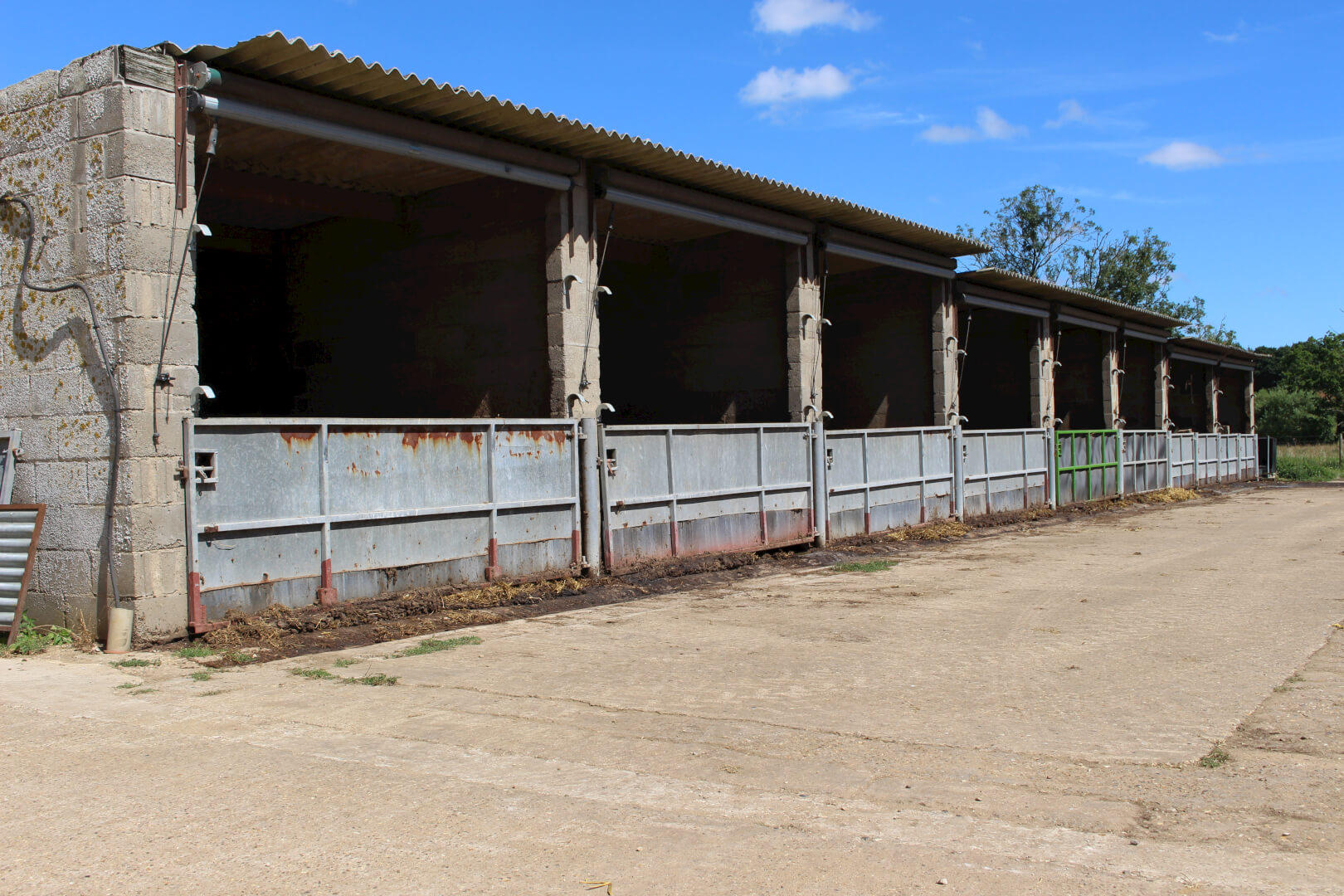 De stal voor de geltenopfok.