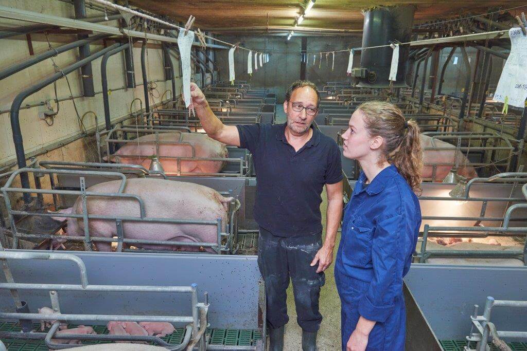 In overleg met dierenarts Monique van der Zanden van VarkensArtsen Zuid is toen het vaccinatieschema van vlekziekte omgezet naar blok-enten met Porcilis Ery van MSD Animal Health