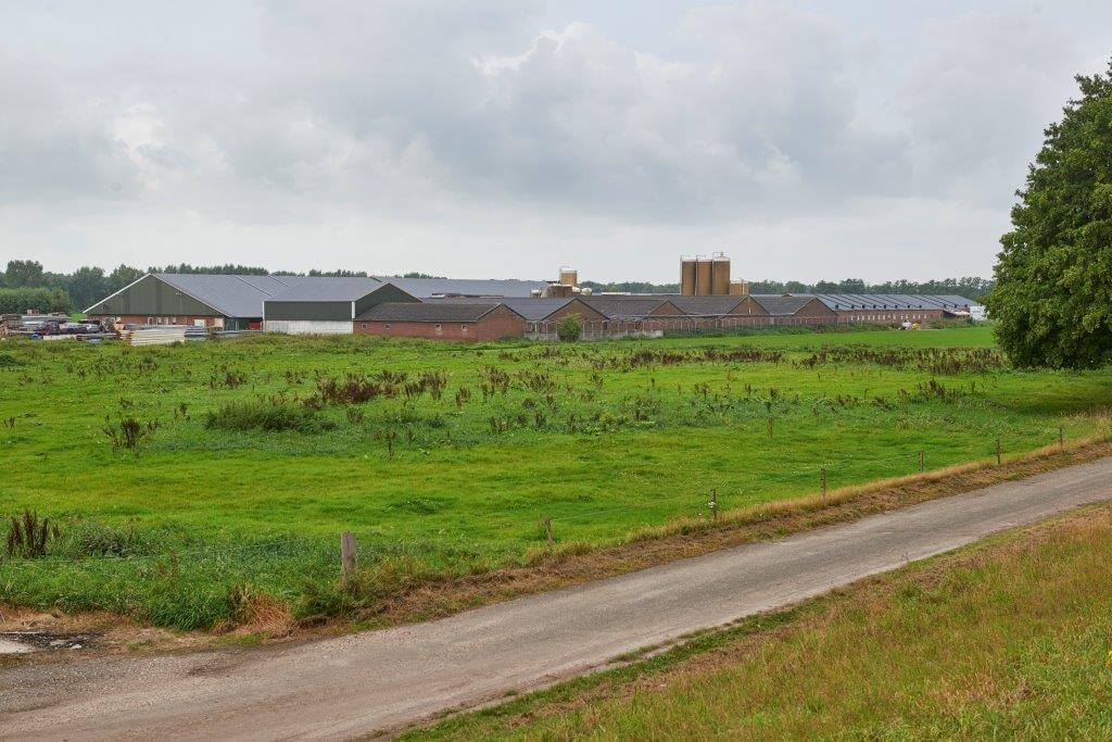 Op hun bedrijf houden Gerard en Pieter Hendrix 1.700 zeugen. Daarnaast is er plaats voor 1.500 vleesvarkens.