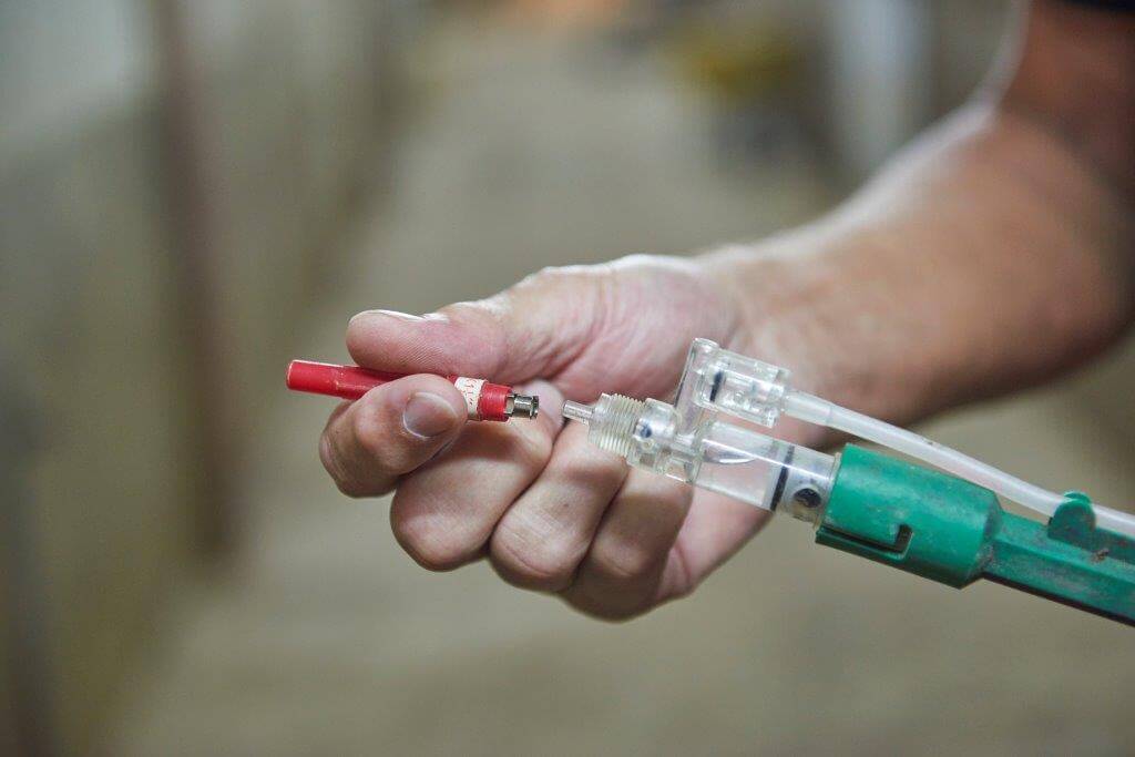 Bij het enten wordt secuur gewerkt. Dat betekent een nieuwe naald per 10 zeugen.