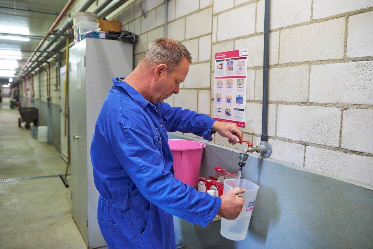 Na het verzamelen van de benodigdheden kan het vaccinatieproces starten. Standaard wordt 2,2 liter water gebruikt voor de circa 180 liter drinkwater dat 192 varkens in maximaal 6 uur moeten drinken.