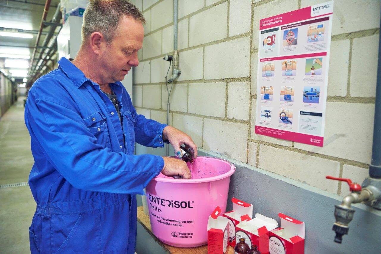 Het proces van vaccin aanmaken en verstrekken is geen routineklus. Daarvor is de enting te kostbaar. Een geheugensteuntje voor een optimale PIA-enting hangt aan de muur.