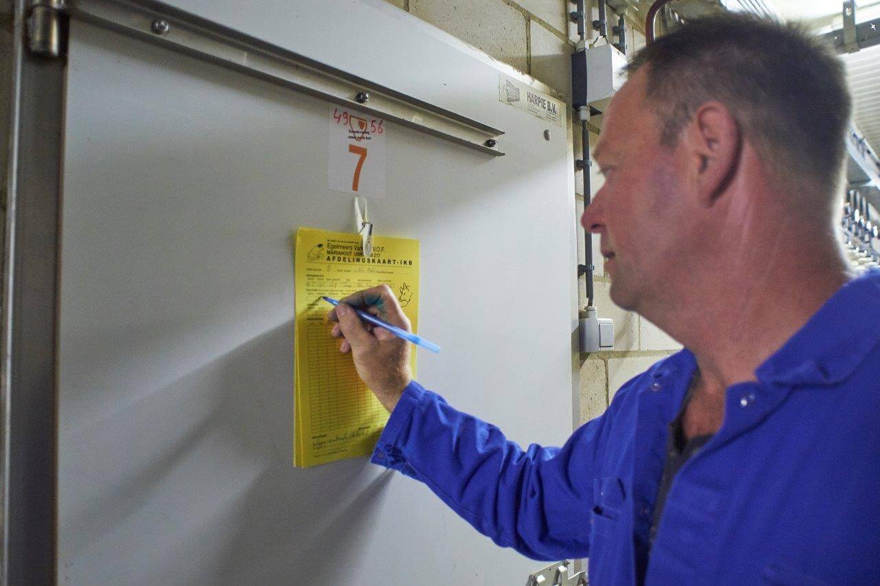 Op de afdelingskaart wordt correct de datum van vaccinatie tegen PIA ingevuld.