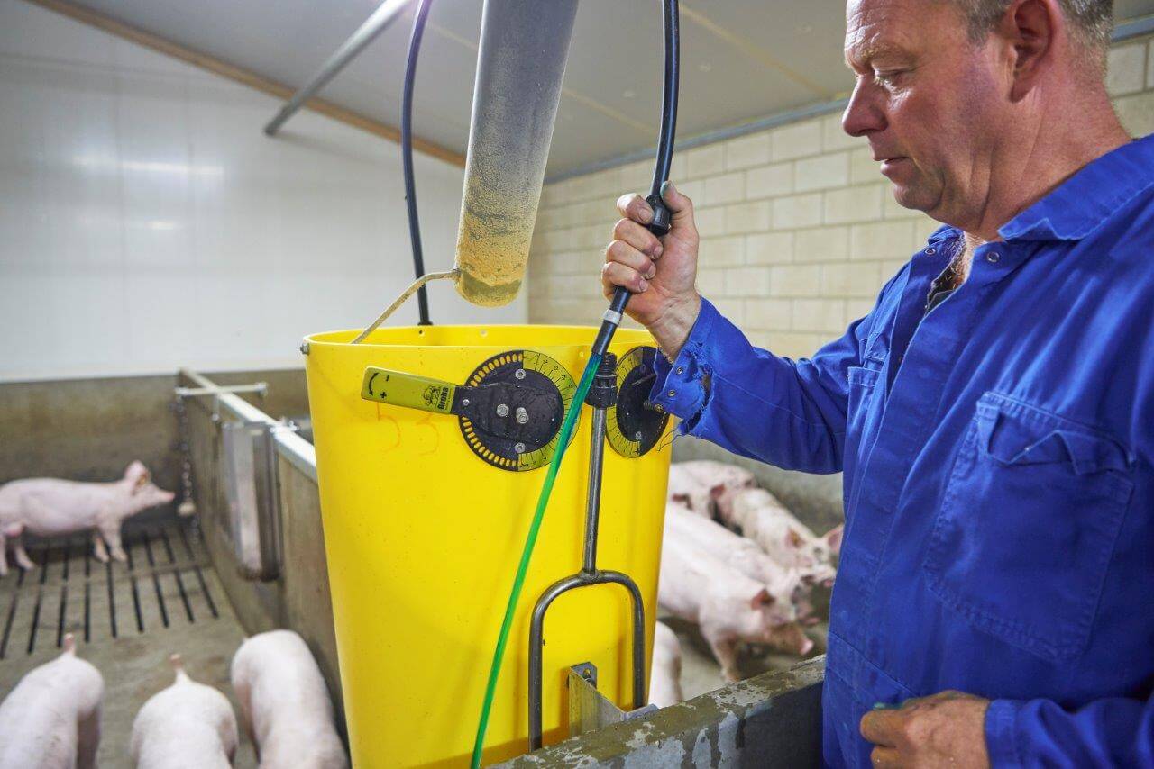 In een oogsopslag is duidelijk dat deze vloeistofstroom meer is dan helder drinkwater. De check is in orde. De dieren kunnen zichzelf gaan vaccineren tegen de darmaandiening.