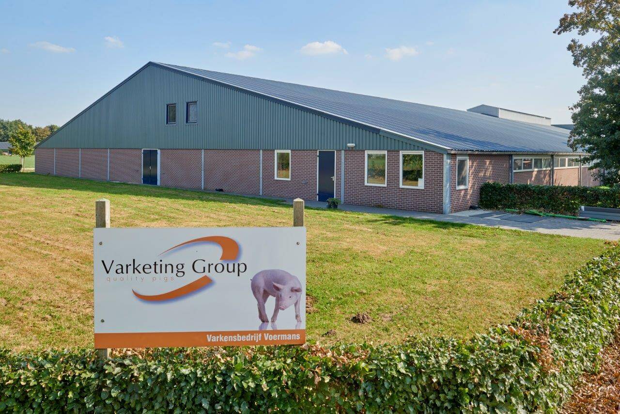 Voermans werkt sinds 2007 samen met vier andere varkenshouders uit zijn omgeving. In de coöperatie Varketing Group is ook gewerkt aan het ontwikkelen van een eigen vleesconcept. Heerlijk verantwoord en smaakvol vlees van Veijf.