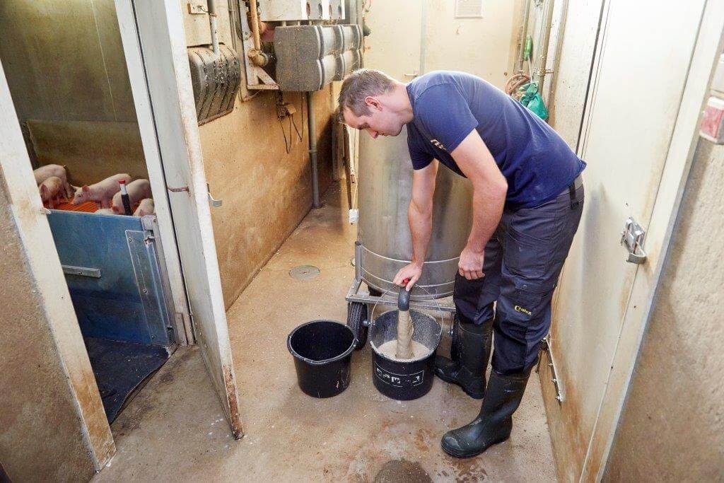 Het tappen van de warme brij voor de gespeende biggen is begonnen. Het verstrekken met de emmer vindt Willems het meest praktisch.