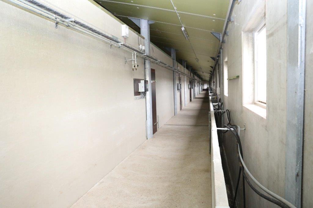 Voor een goede gezondheid is een goed klimaat van belang. De verse lucht komt aan de schaduwzijde van de biggenstal binnen gaat onder de stal door, komt in de centrale gang omhoog en komt dan via het ventilatieplafond de biggenafdeling in.