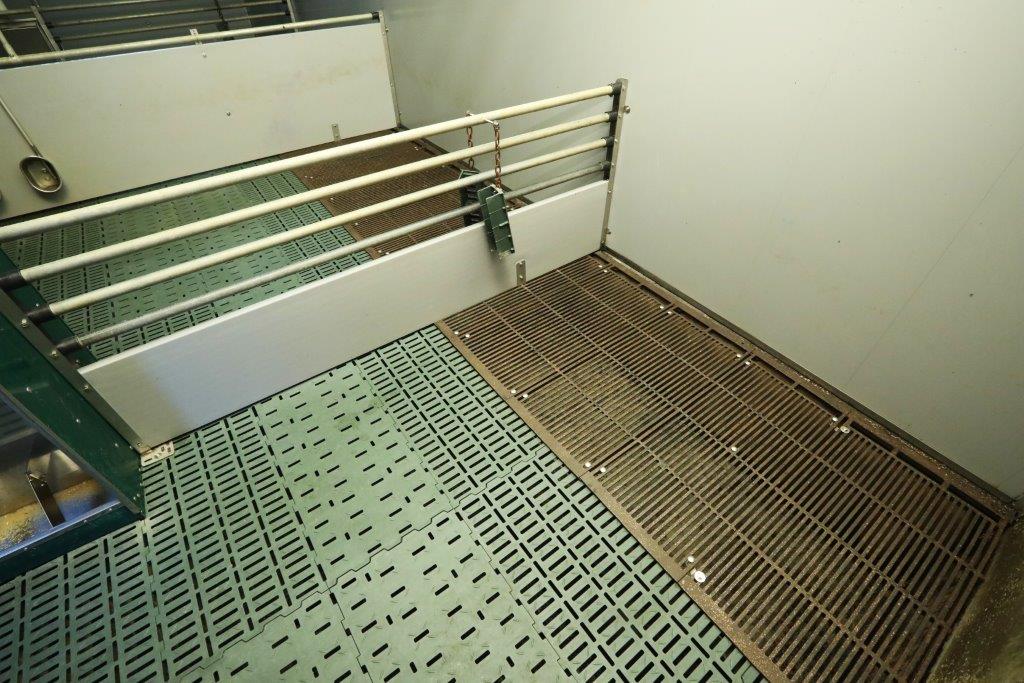 In de biggenafdelingen ligt een deel kunststofroosters en een deel gietijzeren roosters. De gietijzeren roosters hebben een betere mestdoorlaat. En de biggen kunnen een koelere ligplaats kiezen, mocht het te warm worden.