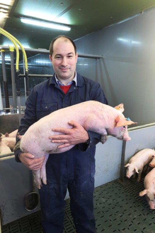 Gino Leenaerts streeft naar een hoge gezondheidsstatus op zijn bedrijf en een laag antibioticagebruik. Hij werkt volgens het multi-site principe: de gespeende biggen liggen op een andere locatie dan de zeugen en vleesvarkens.