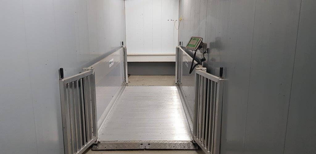 De weegbrug staat op de overgang van de kraamstal naar de biggenstal. Alleen biggen gaan er overheen. Personen moeten via een aparte hygiënesluis.