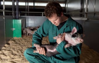 20230330RM Varkens Tijink Almelo 22