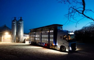 Danish+Crown+ziet+omzet+en+winst+dalen+door+extra+uitbetaling+aan+leden