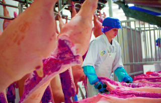 Vion+en+VanDrie+investeren+in+toekomst+in+Apeldoorn