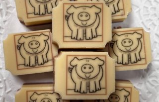 De Vennekuus chocolade