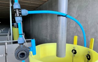 Ruth van der Haar voer wordt in bak gestuurd