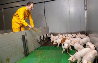 TN+Duroc+past+volgens+Pieter+Post+in+een+solide+verdienmodel