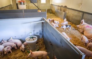 %27Door+op+zeven+weken+te+spenen%2C+komt+diarree+amper+meer+voor%27