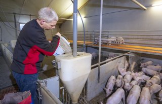 Zeugenhouders+kunnen+voeropname+van+biggen+beter+wel+weten