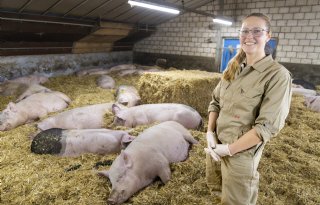 Marina Meester: 'Openheid nodig bij aanpak PRRS'