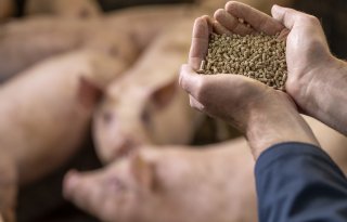 Beter+presteren+met+sorteren%2C+wegen+en+juiste+bouwstenen