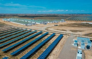 Doemscenario dreigt in Spanje door Afrikaanse varkenspest