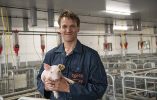 ‘To adapt or not to adapt’