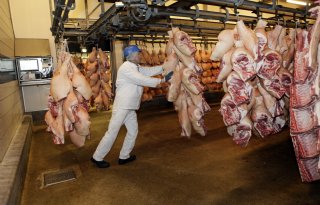 VleesNL+overweegt+juridische+stappen+tegen+uitzendverbod+in+vleessector