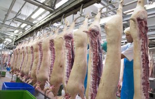 Minder+maar+vleesrijkere+varkens+geslacht+in+eerste+zes+maanden