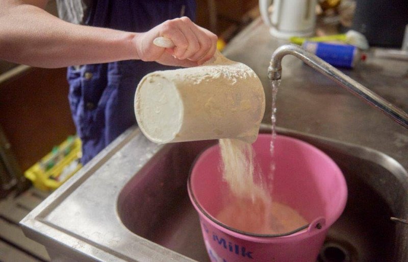 Dagelijks maakt Vera een portie nieuwe melk klaar. Ze begint met 4 liter per dag en eindigt met 20 liter per dag.

