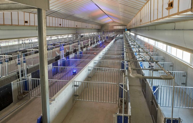 In de ruime hoge stal is plaats voor 218 beren.