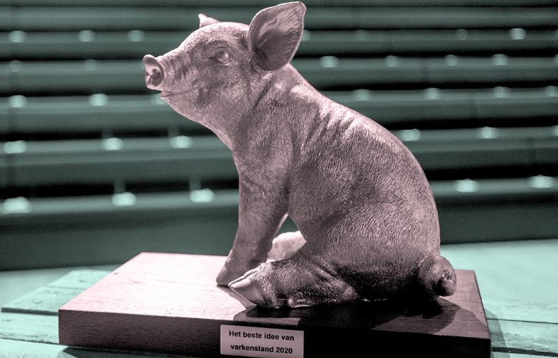 De award van Het Beste Idee Van Varkensland: een markant zilverkleurig varkensbeeldje.
