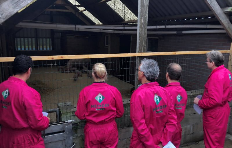 Biggenknuffelen is er deze editie niet bij. Wel heeft Henk Verdonschot gezorgd voor een veilig live contact tussen varkens en de bezoekers.