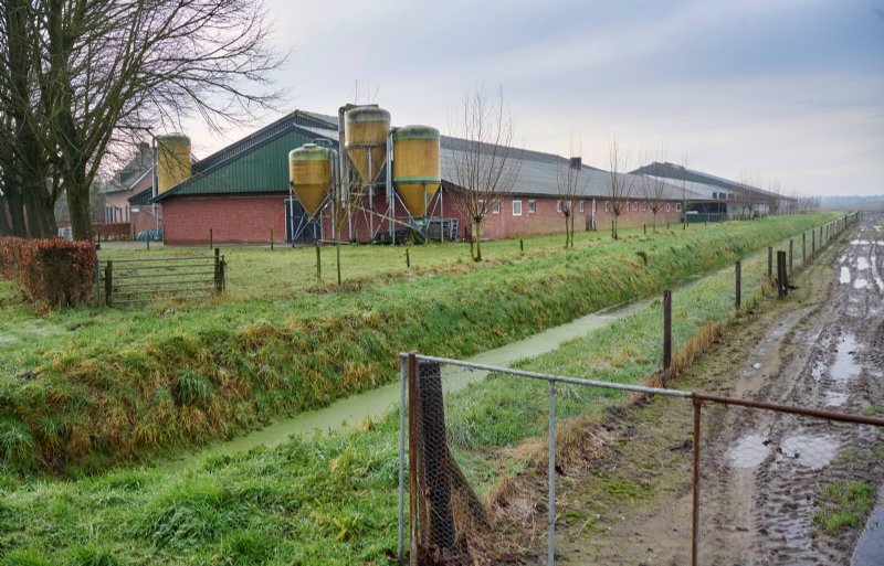 Jan Vermeer (56) heeft een bedrijf met vierhonderd zeugen en vierduizend vleesvarkens in het Brabantse Moergestel.