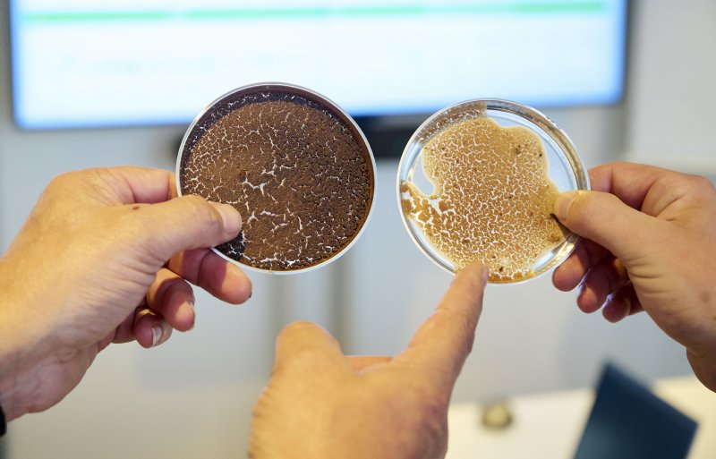 Twan Leijten en Ruud Bens van De Heus Voeders wijzen op de enorme variatie in samenstelling en smaak die er kan zitten tussen een vracht met natte bijproducten.